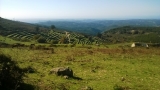 Nature tours with Bike my Side